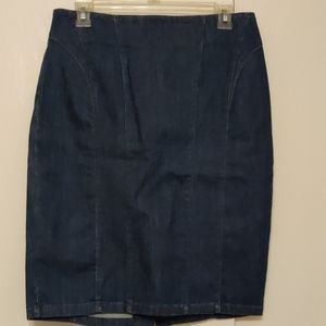 Ann Taylor Jean Skirt